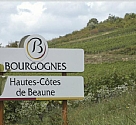 Cote De Beaune